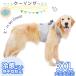 �y�b�g�N�[���x�X�g �⊴�x�X�g ��p�x�X�g ��^���p�N�[���x�X�g COOL�x�X�g ���U���p �M���Ǒ΍�O�b�Y ���悢�Ђ��芴 ������ XXXL 3xl ��^���Ή� �ĕ�