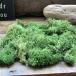  свежий зеленый 20g Islay ndo Moss материалы для цветочной композиции ручная работа кошка pohs соответствует 