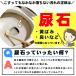 �A�Ώ����� ���� �g�C�� ���΂� ��� ������ ���� �A�� �W�F�� ���� �悲��͂����� �g�C����� �ɂ傤�����Ƃ� ���{�� �ӂ�΂�A�΂Ƃ�110�� ���|���N���X�t �֘A�摜5