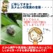 �J�����V�΍� �x�����_ ������ �Q�� ������ �ŋ� ���O �J�����V�悯 �݂邷�^�C�v ���� �񂹕t���Ȃ� �n�b�J�� �J�����V��� ���{�� ���|���N���X ���܂��t �֘A�摜4