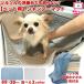 犬 シャンプー 滑り止め マット ワンちゃん ペット シャンプーマット 仔犬 お風呂 お手入れ トリミングノミ 駆除 便利 すべらない クッション おまけ付