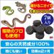 �ւ� �� ���� ������ �쏜 ���� �N�� �ڋ� �j�~ �h�~ �΍� �V�R���� �L�o �h�� �w�r �g�J�Q ������ �񂹕t���Ȃ� ���� ���O�p ���{�� �u�������ȒP �w�r���Ȃ� �֘A�摜2