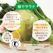 �T���X�^�[���� ���N�o���G�e�B�Z�b�g �M�t�g�Z�b�g 12�{���� 2026 ��؈��� �` ��؃W���[�X ���N �M�t�g �΂ŃT���i ���Ε� �� ���N �퉷 �l�ߍ��킹 �֘A�摜4