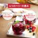 �T���X�^�[���� ���N�o���G�e�B�Z�b�g �M�t�g�Z�b�g 12�{���� 2026 ��؈��� �` ��؃W���[�X ���N �M�t�g �΂ŃT���i ���Ε� �� ���N �퉷 �l�ߍ��킹 �֘A�摜5