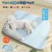  кошка собака двоякое применение bed коврик лето. охлаждающий bed маленький размер собака "дышит" .. жара . нет домашнее животное bed .... нежный собака. bed кошка bed крепкий для домашних животных ... простой предотвращение скольжения 