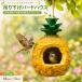  птица маленький магазин bird house ананас узор подвешивание ниже полимер производства птица. гнездо bird механизм подачи дикая птица птица для сад орнамент двор садоводство украшение наружный интерьер 18cm×13cm