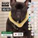 SUO(R) официальный патент (специальное разрешение) получение settled SUO RING 28°ICE for dogs star кнопка есть SS/XS размер шея для прохладный кольцо шея шея .. снижение температуры . средний . предотвращение охлаждающий охлаждающий домашнее животное собака 