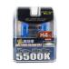 BE-316 �n���Q���o���uH4 5500K SLO