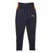  Puma (PUMA)( Kids ) футбол одежда Junior INDIVICUP TR брюки 66049108