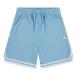  Jordan (JORDAN)( Kids ) баскетбол одежда Junior JDB TAPING MESH SHORT шорты 95D688-U9G