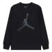  Jordan (JORDAN)( Kids ) баскетбол одежда Junior JDB JUMPMAN DRIPS футболка с длинным рукавом 95F353-023