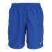  Nike (NIKE)( мужской ) купальный костюм герой стиль 7 bolle шорты NESSF559-N494