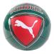  Puma (PUMA)( Kids ) Junior FPF культура мяч Mini 08498401