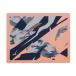  Mizuno (MIZUNO)( мужской, женский ) плавание полотенце плавание полотенце 34×44cm N2JYD00253