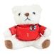  Япония футбол ассоциация (JFA)( мужской, женский, Kids ) форма Bear брелок для ключа STADIUM LINE Suzuki . глянец JO-537-1