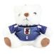  Япония футбол ассоциация (JFA)( мужской, женский, Kids ) форма Bear брелок для ключа Samurai голубой STADIUM LINE. глициния .JO-537-6