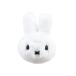  Crocs (crocs)( мужской, женский, Kids )ji Bit'z очарование Miffy p Rush 10018816