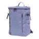  The * North * лицо (THE NORTH FACE)( мужской, женский ) рюкзак Day Pack BC блок плавких предохранителей 2 фиолетовый 30L NM82255 GR рюкзак Fuse Box