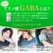 �M���o GABA �T�v�� 1��200mg 60���� �T�v�������g �֘A�摜4