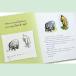 �y�m���z�|�W�e�B�u���[�E�v�[ [A.A.�~����] Positively Pooh Timeless Wisdom from Pooh [A. A. Milne] ���܂̃v�[���� ���� ���P ���p �֘A�摜5