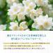 �W���X�~���� 80�� �W���X�~���e�B�[ �e�B�[�o�b�O ����҂� ������ �֘A�摜5