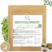  domestic production broccoli sprouts powder 20g(50 batch )150 day srufola fan free shipping supplement diet beauty health aging care 