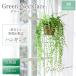HANAYUKI fake green green necklace hanging lowering hanging 35cm photocatalyst processing human work decorative plant opening festival . opening festival . moving store equipment ornament 