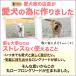 �y��D�]�R���{�˔j�z�����O���[�h 10m �܂Ƃ߂₷�� �ۃ��[�v �J���t�� ��v �O��ɂ��� �i�X�J�� ���܂Ȃ� ��^�� ���^�� �֘A�摜2