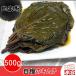 【冷蔵】 えごまの葉 キムチ (醤油) 500g (韓国食品 キムチ・自家製 えごま エゴマ キムチ)