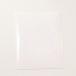 JUSTICE SURFBOARD Justy s доска для серфинга Alterna стикер WHITE SMALL