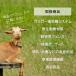 �L�Q���b�ߊl�p�v���[�g | �l�[���v���[�g �֘A�摜2