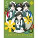BD/OVA/kbiki утилизация синий цвет sa Van .....5(Blu-ray) ( совершенно производство ограниченая версия )[P выше 