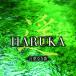 CD/ҡ/ HARUKA -դʤ-