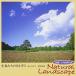 CD/BGV/α волна 1/f. ... маленькая птица ... .... дерево .. среди / Kiyoshi . высота .