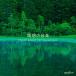 CD/ исцеление /... музыка meditation for business