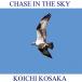CD/乬/CHASE IN THE SKY