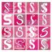 CD/Silent Siren/Silent Siren Selection (2CD+DVD) ()