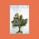 ڼʡCD/chilldspot/around dusk (CD+DVD)