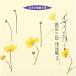 CD/ takada Saburou / Япония хор полное собрание сочинений i The ya. депозит . takada Saburou сборник произведений 3