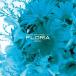 CD/˥Х/common ground recordings presents FLORIA-deux-