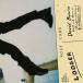 LP/David Bowie/Lodger (2017 Remastered Version) (EU/LP/RM) (͢����)
