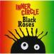 CD/ внутренний * Circle / черный * low zez