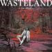 [ посылать за товар ]CD/JIM GHEDI/WASTELAND