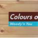 CD/オムニバス/Colours of Groove IV Woody'n You