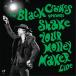 ڼʡCD/THE BLACK CROWES/SHAKE YOUR MONEY MAKER(LIVE)