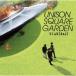 CD/UNISON SQUARE GARDEN/ǥ
