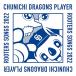 [ посылать за товар ]CD/ Chunichi Dragons отвечающий ../ Chunichi Dragons по игрокам отвечающий ..medore-2022