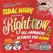 ڼʡCD/TIDAL WAVE/RIGHT NOW vol.2