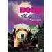 [ посылать за товар ]DVD/ Disney /....!....! Ben ji-
