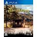  б/у PS4 soft Truberbrook